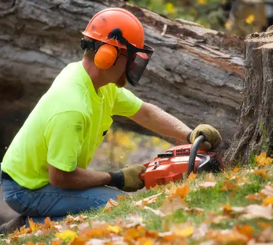 tree services Marlette